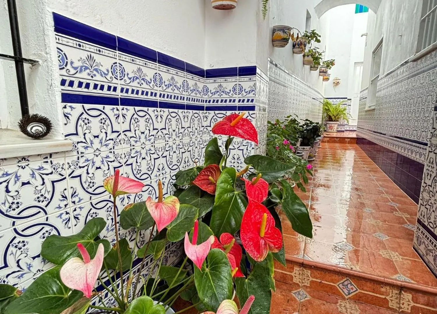 Pacoplaza Villa Conil De La Frontera